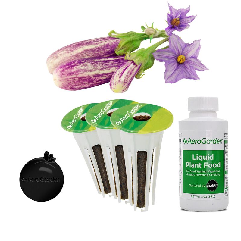 Fairy Tale Eggplant Seed Pod Kit image number null